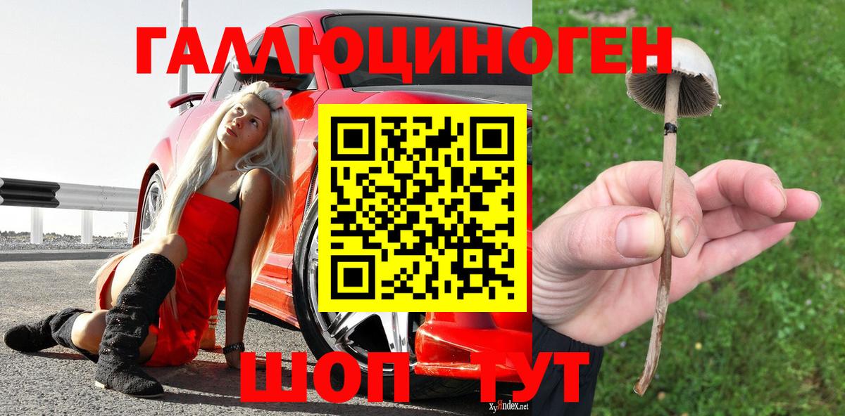 Псилоцибиновые грибы мухоморы  Вход с VPN  Прохладный  Псилоцибиновые грибы Magic Shrooms 