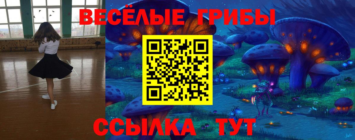 Галлюциногенные грибы Psilocybine cubensis Прохладный