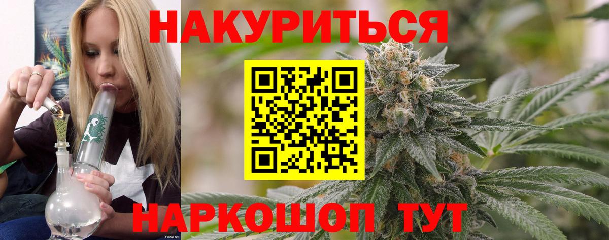 Каннабис планчик Прохладный